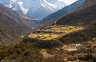 nepal-9782.jpg - 
